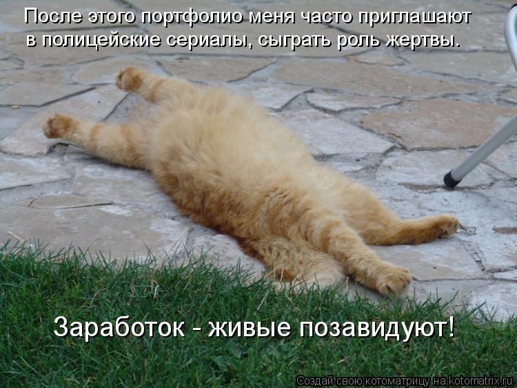 Котоматрица: в полицейские сериалы, сыграть роль жертвы. После этого портфолио меня часто приглашают Заработок - живые позавидуют!