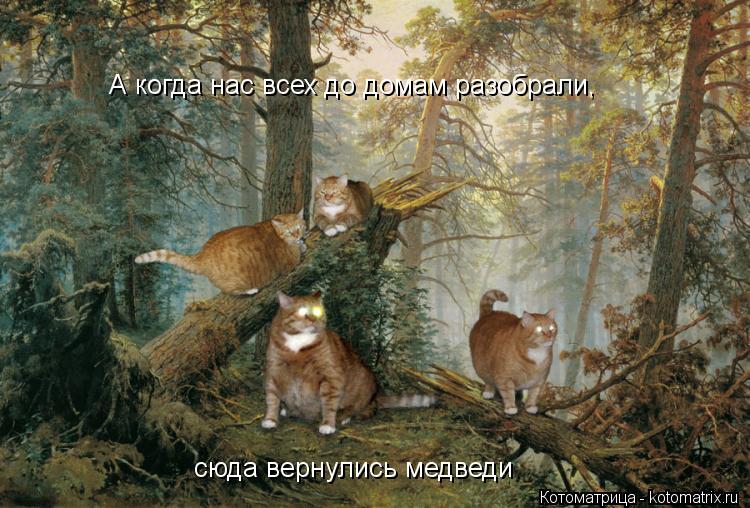 Котоматрица: А когда нас всех до домам разобрали, сюда вернулись медведи