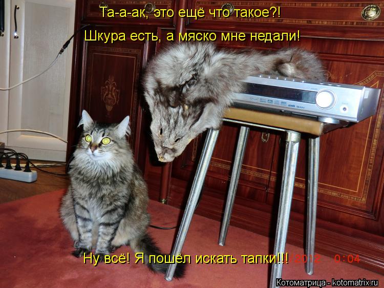 Котоматрица: Та-а-ак, это ещё что такое?! Шкура есть, а мяско мне недали! Ну всё! Я пошёл искать тапки!!!