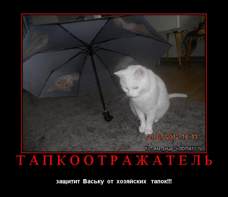Котоматрица: ТАПКООТРАЖАТЕЛЬ защитит  Ваську  от  хозяйских   тапок!!!