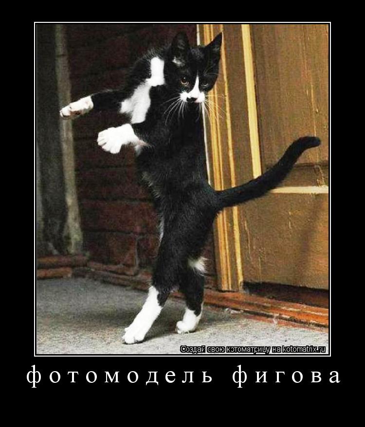 Котоматрица: фотомодель фигова 