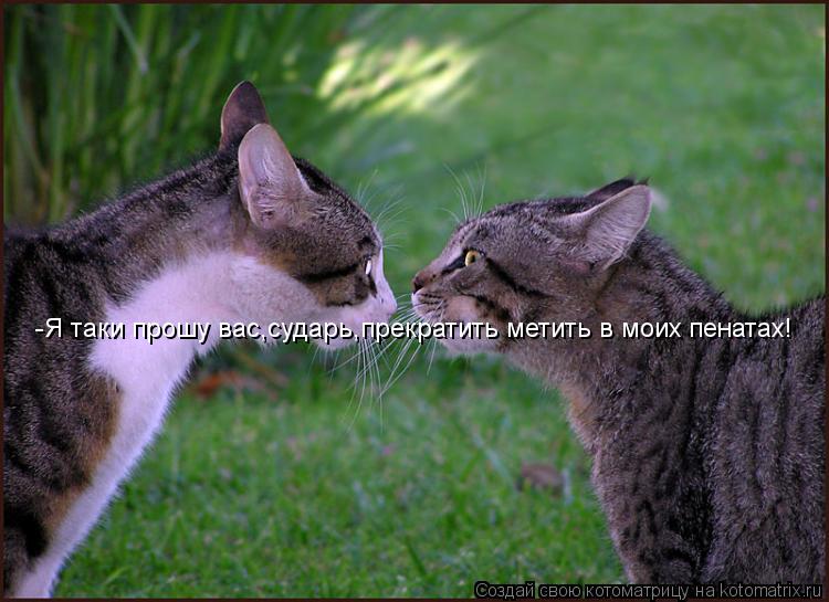 Котоматрица: -Я таки прошу вас,сударь,прекратить метить в моих пенатах!