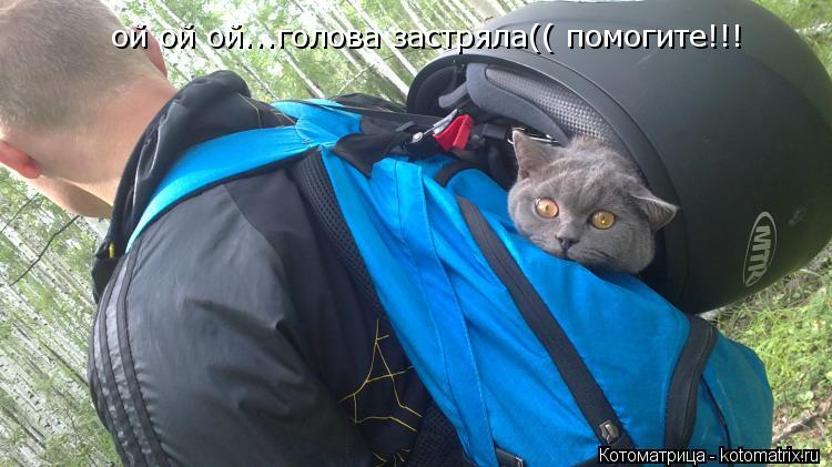 Котоматрица: ой ой ой...голова застряла(( помогите!!!