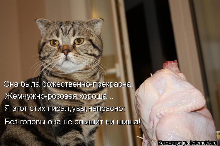 Котоматрица: Она была божественно-прекрасна, Жемчужно-розовая,хороша... Я этот стих писал,увы,напрасно: Без головы она не слышит ни шиша!