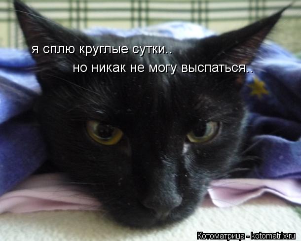 Котоматрица: но никак не могу выспаться.. я сплю круглые сутки..