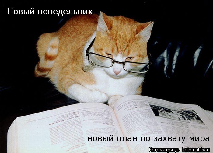 Котоматрица: Новый понедельник новый план по захвату мира