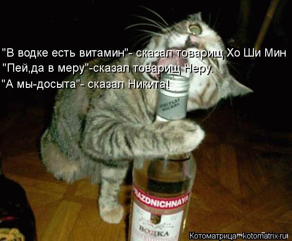 Котоматрица: "В водке есть витамин"- сказал товарищ Хо Ши Мин "Пей,да в меру"-сказал товарищ Неру. "А мы-досыта"- сказал Никита!