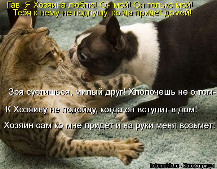 Гав! Я Хозяина люблю! Он мой! Он только мой! Тебя к нему не подпущу, когда придет домой! Зря суетишьс... Котоматрица: Гав! Я Хозяина люблю! Он мой! Он только мой! Тебя к нему не подпущу, когда придет домой! Зря суетишься, милый друг! Хлопочешь не о том- К Хозяину