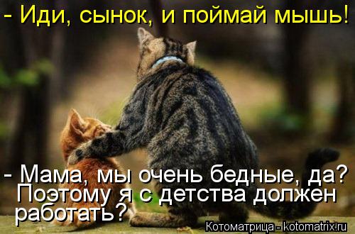 Котоматрица: - Иди, сынок, и поймай мышь! - Мама, мы очень бедные, да? Поэтому я с детства должен работать?