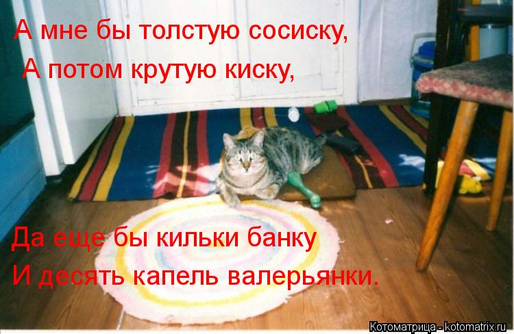 Котоматрица: А мне бы толстую сосиску,         Да еще бы кильки банку          И десять капель валеpьянки.       А потом кpутую киску,