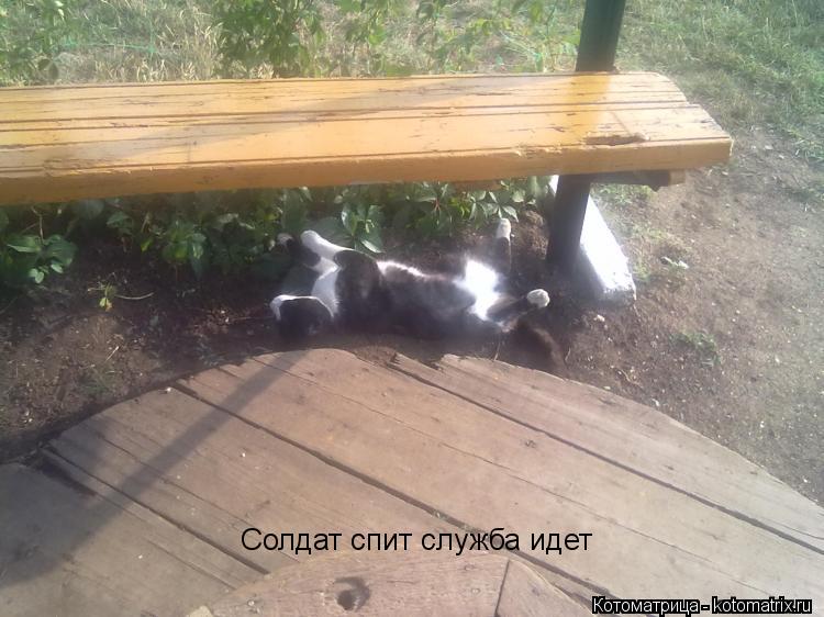 Котоматрица: Солдат спит служба идет