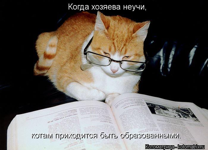 Котоматрица: Когда хозяева неучи, котам приходится быть образованными.