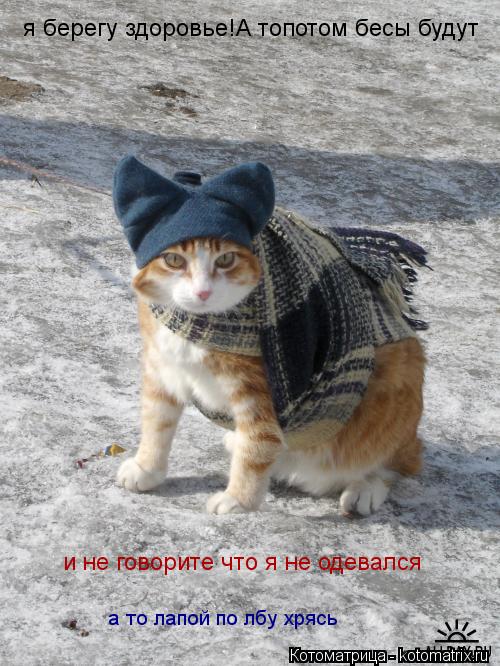 Котоматрица: я берегу здоровье!А топотом бесы будут и не говорите что я не одевался а то лапой по лбу хрясь