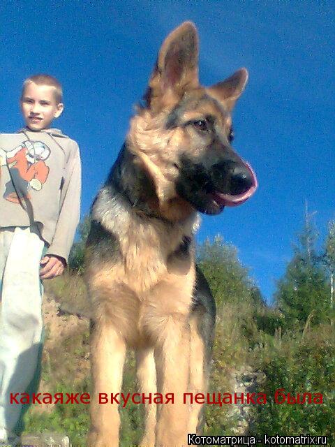 Котоматрица: какаяже вкусная пещанка была