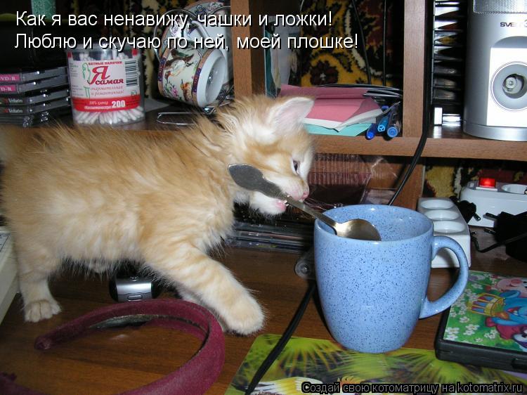 Котоматрица: Как я вас ненавижу, чашки и ложки! Люблю и скучаю по ней, моей плошке!