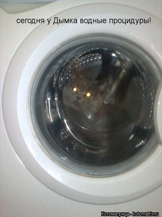 Котоматрица: сегодня у Дымка водные процидуры!