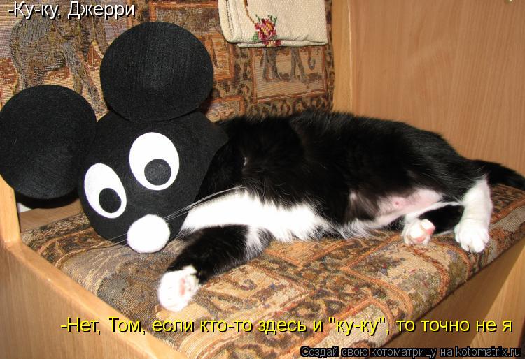 Котоматрица: -Ку-ку, Джерри -Нет, Том, если кто-то здесь и "ку-ку", то точно не я