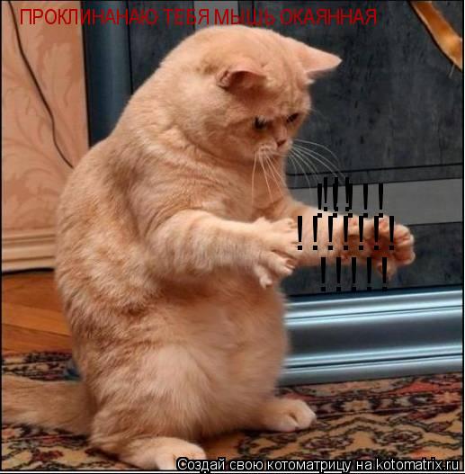 Котоматрица: ПРОКЛИНАНАЮ ТЕБЯ МЫШЬ ОКАЯННАЯ !!! !!!!!!! !!!!! !!!!!