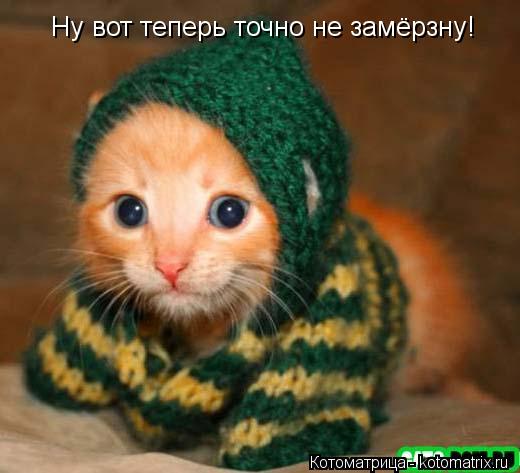 Котоматрица: Ну вот теперь точно не замёрзну!
