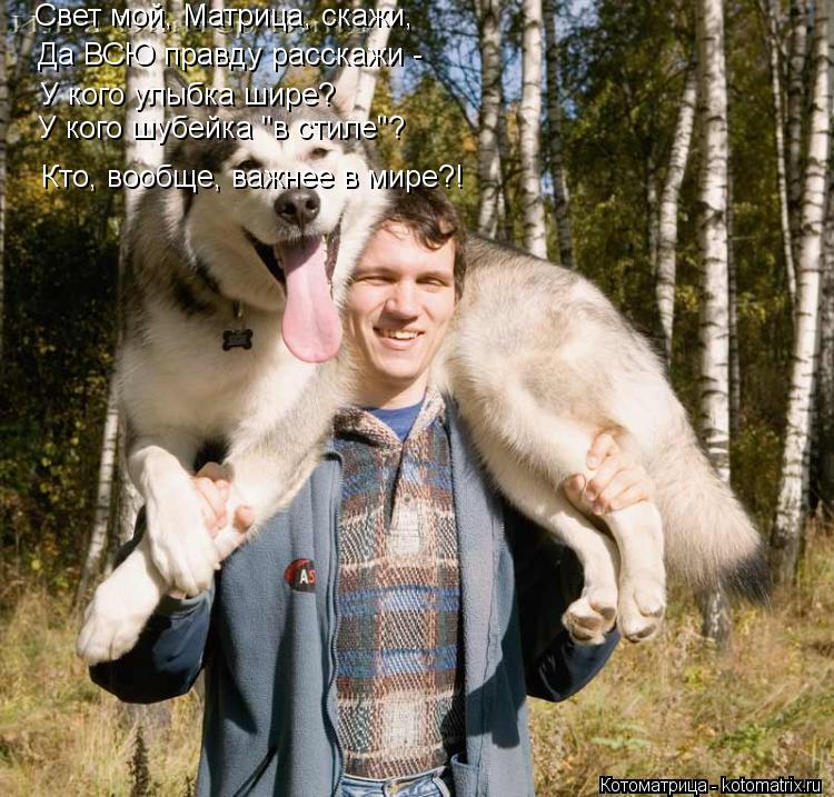 Котоматрица: Cвет мой, Матрица, скажи, Да ВСЮ правду расскажи - У кого улыбка шире? У кого шубейка "в стиле"? Кто, вообще, важнее в мире?!