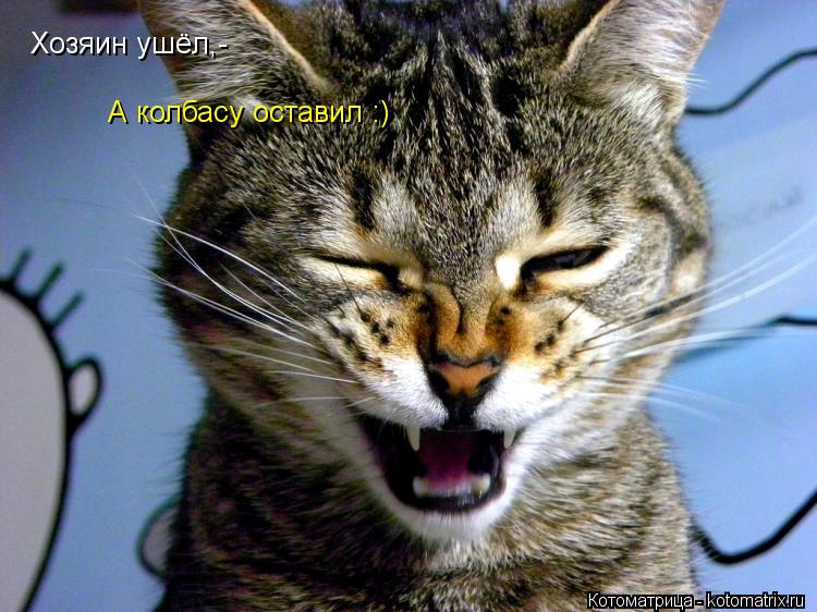 Котоматрица: Хозяин ушёл,- А колбасу оставил :)