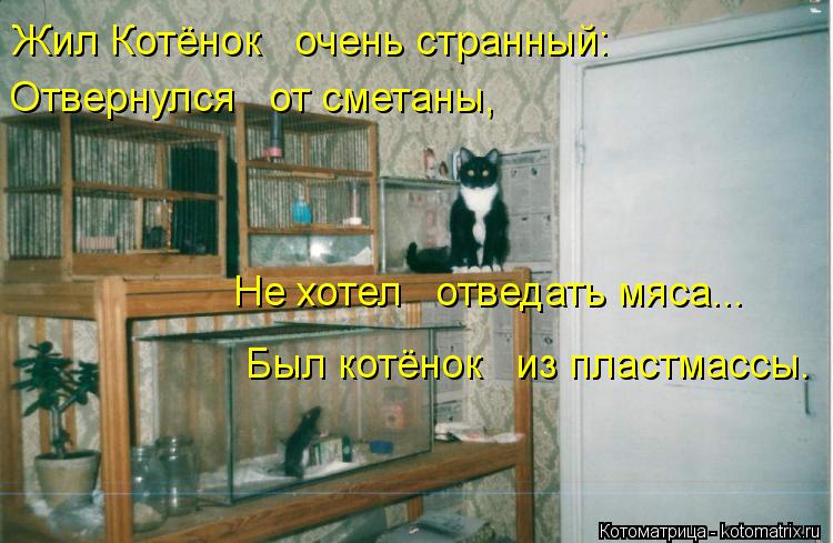 Жил Котёнок очень странный: Отвернулся от сметаны, Не хотел отведать мяса... Был котён... Котоматрица: Жил Котёнок очень странный: Отвернулся от сметаны, Не хотел отведать мяса... Был котёнок из пластмассы.