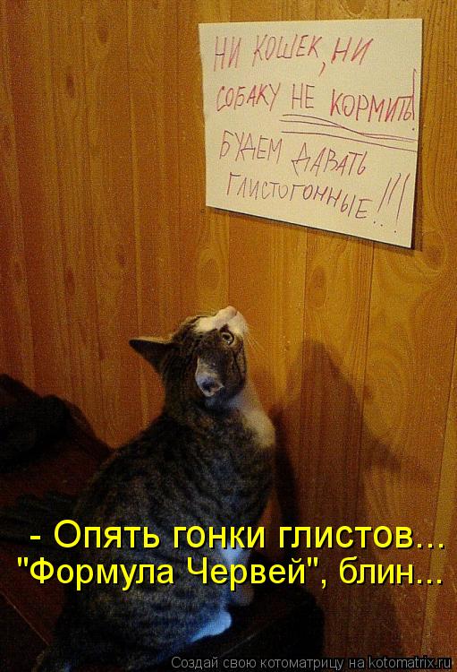 Котоматрица: - Опять гонки глистов... "Формула Червей", блин...