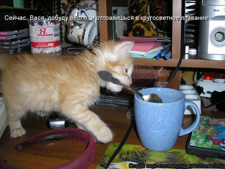 Котоматрица: Сейчас, Вася, добуду весло, и отправишься в кругосветное плавание
