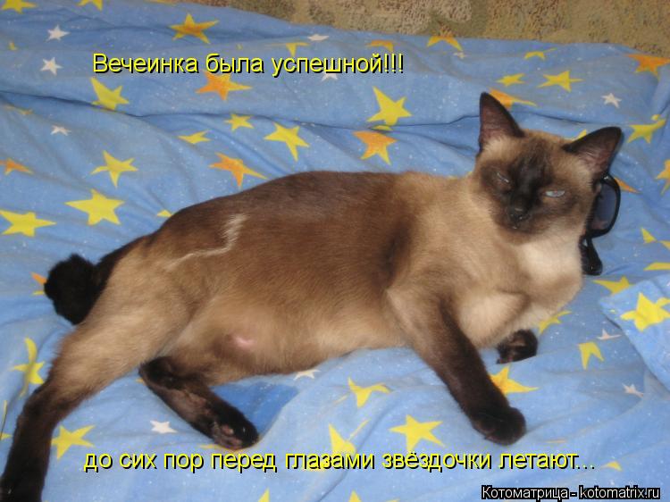 Котоматрица: Вечеинка была успешной!!! до сих пор перед глазами звёздочки летают...
