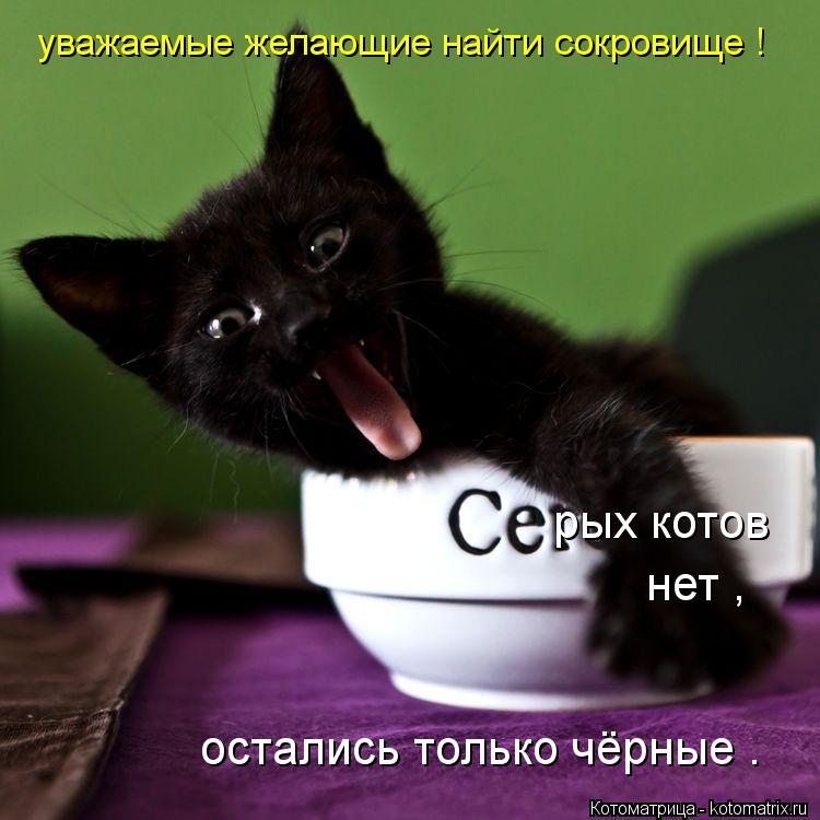 Котоматрица: рых котов  нет , остались только чёрные . уважаемые желающие найти сокровище !