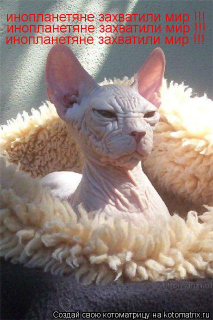 Котоматрица: инопланетяне захватили мир !!! инопланетяне захватили мир !!! инопланетяне захватили мир !!!