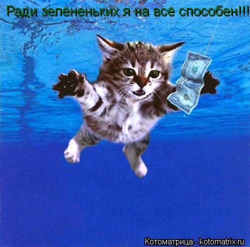 Котоматрица: Ради зелёненьких я на всё способен!!!