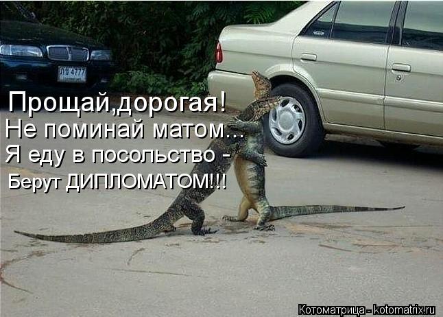 Прощай,дорогая! Не поминай матом... Я еду в посольство - Берут ДИПЛОМАТОМ!!!... Котоматрица: Прощай,дорогая! Не поминай матом... Я еду в посольство - Берут ДИПЛОМАТОМ!!!