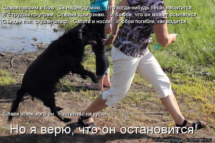 Слава павшим в бою За надежду мою, Что когда-нибудь пёсик насытится, Я с трудом по утрам Старый... Котоматрица: Слава павшим в бою За надежду мою, Что когда-нибудь пёсик насытится, Я с трудом по утрам Старый дом узнаю, И боюсь, что он может осыпаться