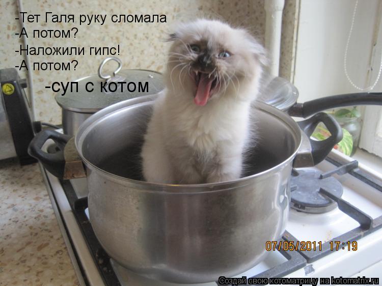 Котоматрица: -Тет Галя руку сломала  -А потом? -Наложили гипс! -А потом? -суп с котом