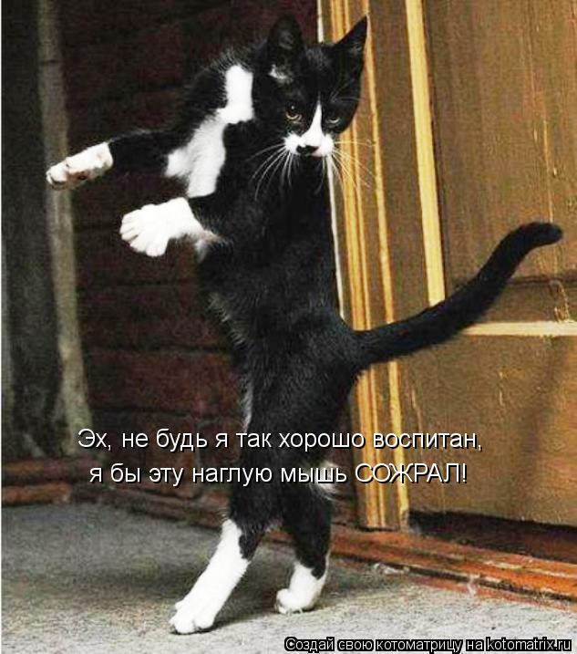 Котоматрица: Эх, не будь я так хорошо воспитан, я бы эту наглую мышь СОЖРАЛ!