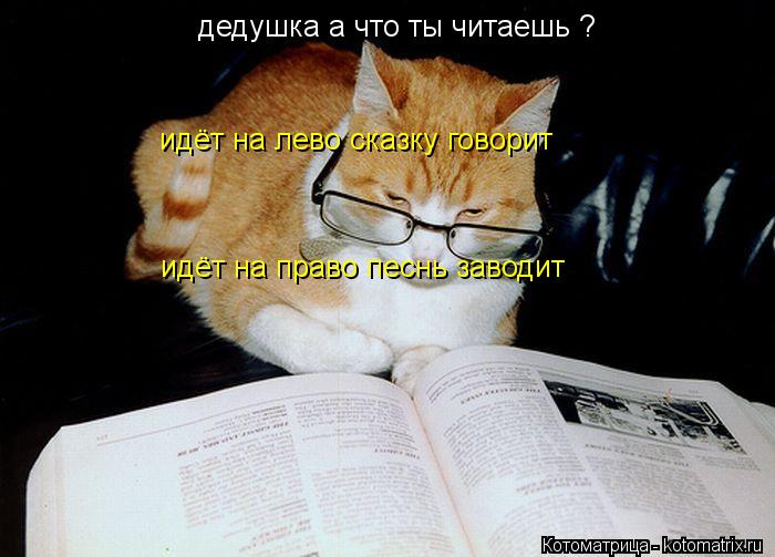 Котоматрица: дедушка а что ты читаешь ? идёт на лево сказку говорит идёт на право песнь заводит