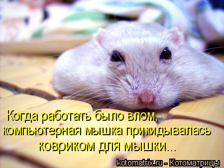 Котоматрица: Когда работать было влом, компьютерная мышка прикидывалась ковриком для мышки...