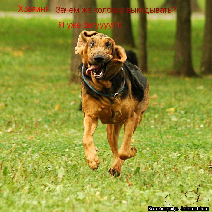 Котоматрица: Хозяин! Зачем же колбасу выкидывать? Я уже бегуууу!!!!