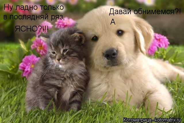 Котоматрица: Давай обнимемся?! А Ну ладно только  в послядняй ряз, ЯСНО?!!!