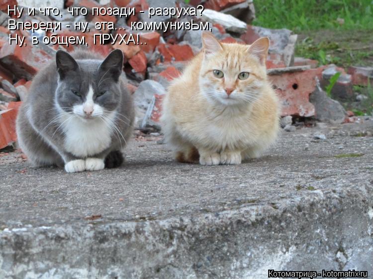 Котоматрица: Ну и что, что позади - разруха? Впереди - ну, эта... коммунизЬм, Ну, в общем, ПРУХА!..