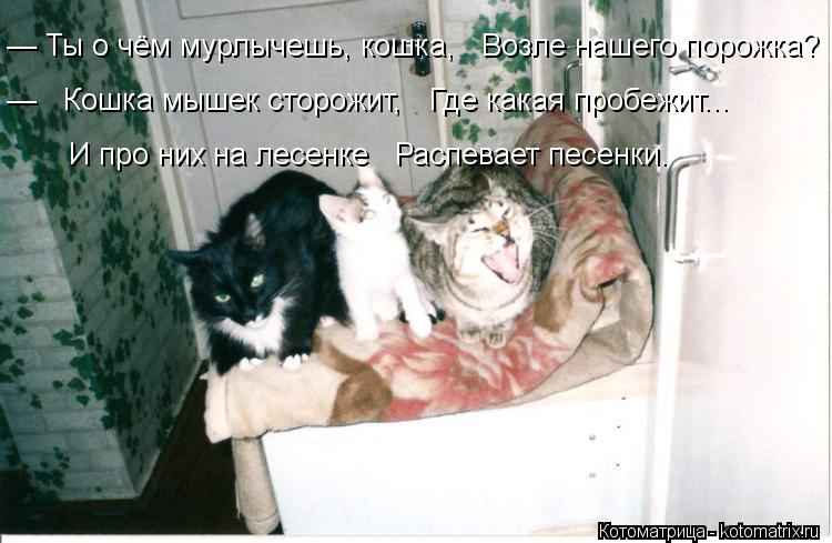Котоматрица: — Ты о чём мурлычешь, кошка,   Возле нашего порожка? —   Кошка мышек сторожит,   Где какая пробежит...    И про них на лесенке   Распевает песенки.