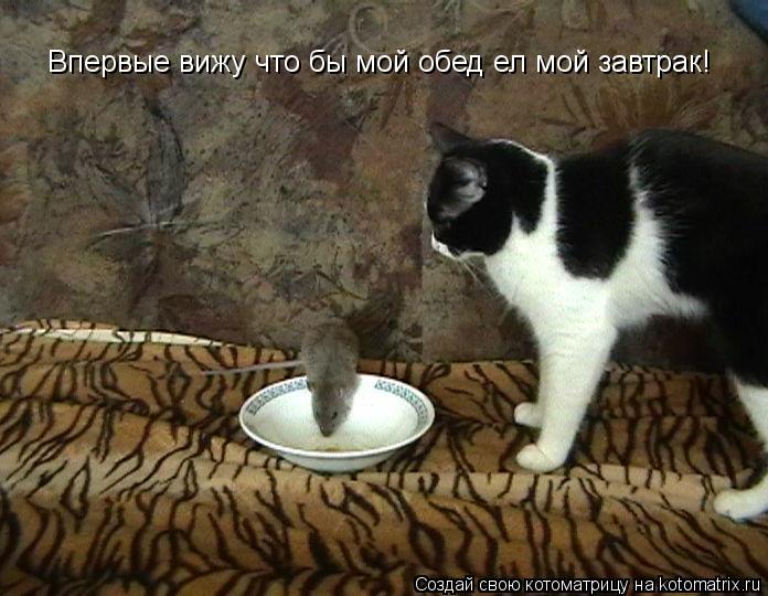 Котоматрица: Впервые вижу что бы мой обед ел мой завтрак!