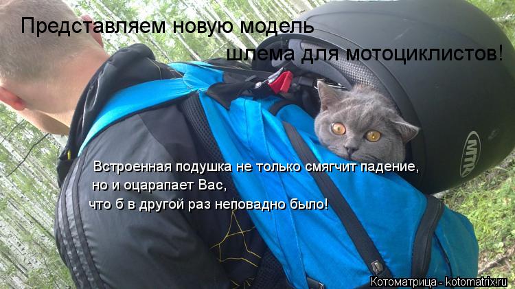 Котоматрица: Представляем новую модель шлема для мотоциклистов! Встроенная подушка не только смягчит падение, но и оцарапает Вас,  что б в другой раз неп