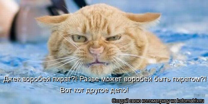 Котоматрица: Джек воробей пират?! Разве может воробей быть пиратом?! Вот кот другое дело!