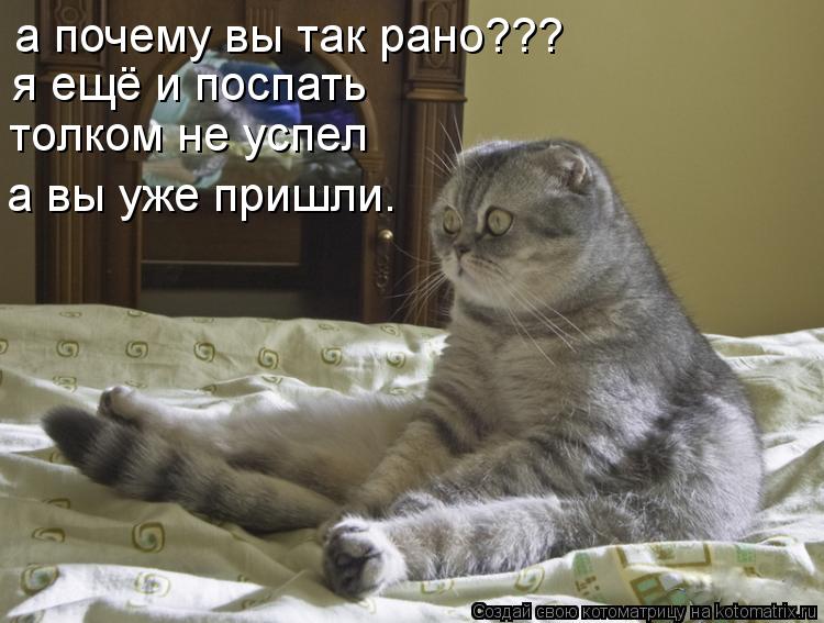 Котоматрица: а почему вы так рано??? я ещё и поспать толком не успел а вы уже пришли.
