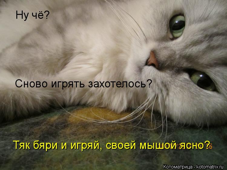 Котоматрица: Ну чё? Сново игрять захотелось?  Тяк бяри и игряй, своей мышой ясно?