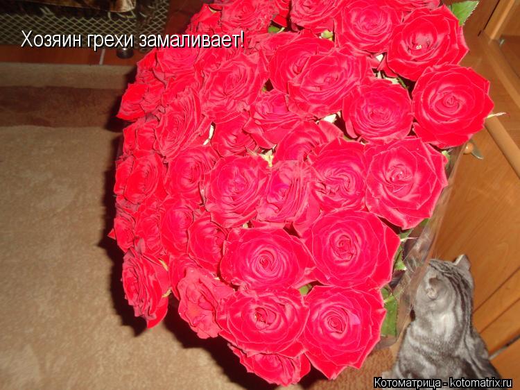 Котоматрица: Хозяин грехи замаливает!