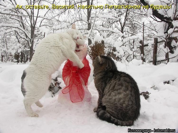 Котоматрица: Ах, оставьте, Василий. Насильно Пигмалионом не будешь!