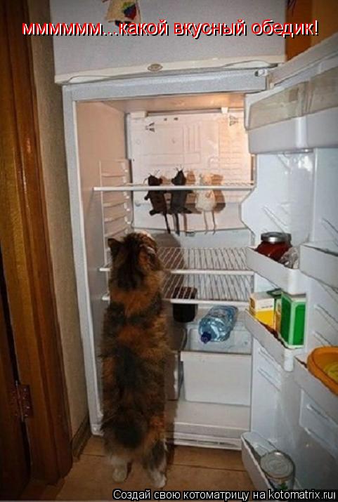 Котоматрица: мммммм...какой вкусный обедик! мммммм...какой вкусный обедик!